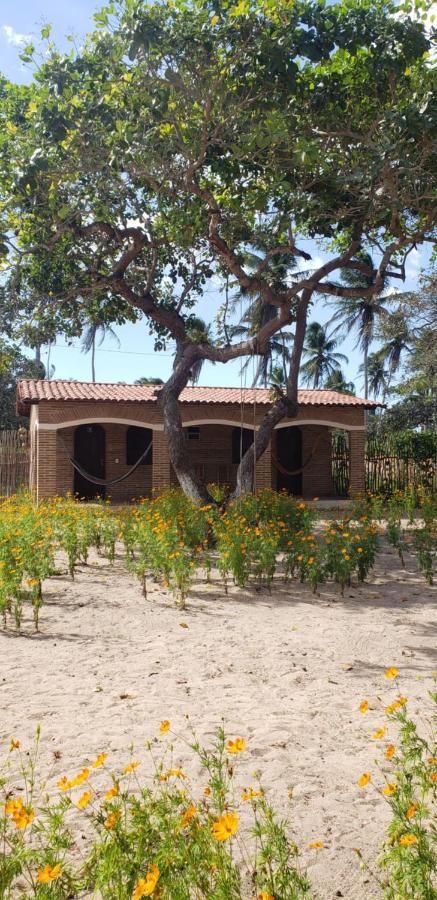 Pousada Vila Mangue Seco Jericoacoara Extérieur photo